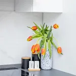 Apartman Veronika